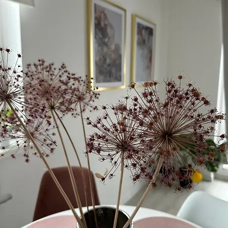 Apartament Szczytno Zielona Apartment *