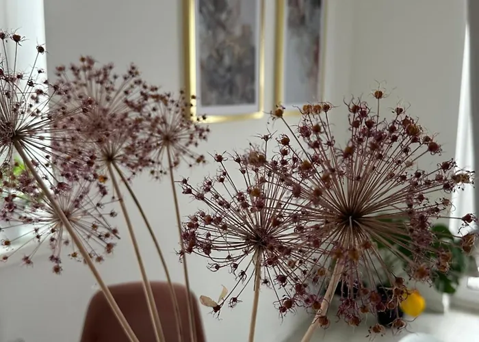 Apartament Szczytno Zielona Apartment *